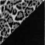 Image Attribute