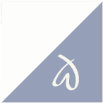 Image Attribute