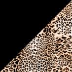 Image Attribute