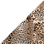 Image Attribute