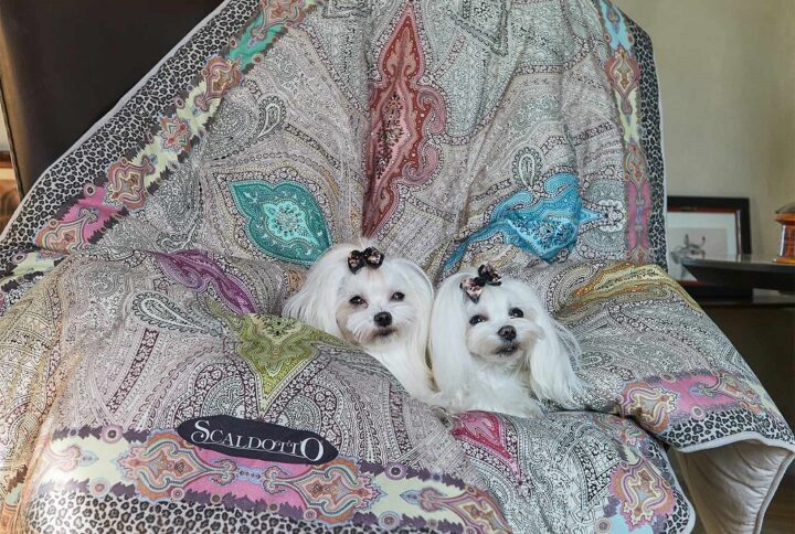 Plaid Scaldoptto caleffi Harris