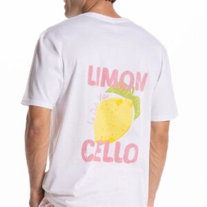 Dettaglio Stampa Retro del Pigiama corto uomo OFFICINA45 con stampa limoncello e pantaloncini fantasia floreale