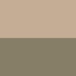 Image Attribute